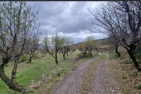 Landejendom i Pitres, Granada, Pitres - € 500.000 | Ref: PC568 - foto 45